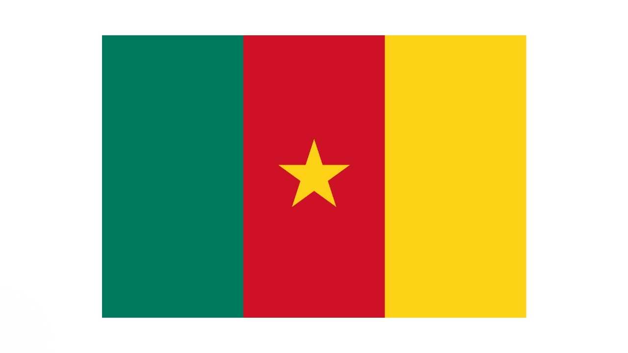 Cameroun flag