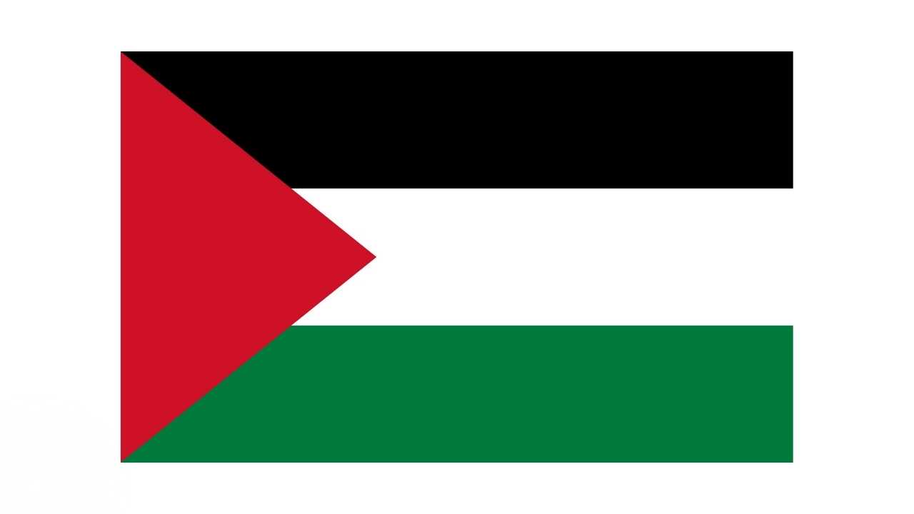 Palæstina flag