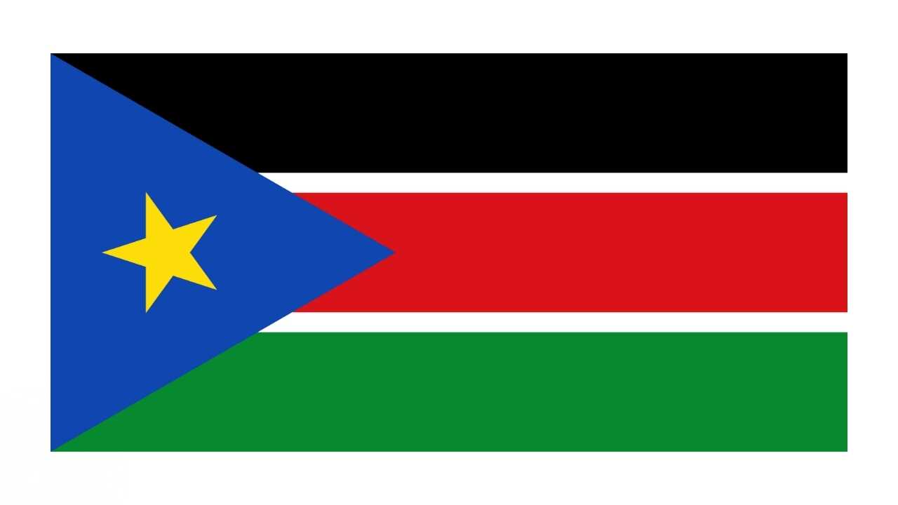 Sydsudan flag